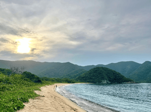 Screen Shot 2023-08-28 at 2.36.21 PM