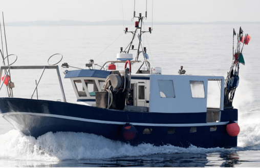 Screen Shot 2023-10-30 at 3.59.30 PM