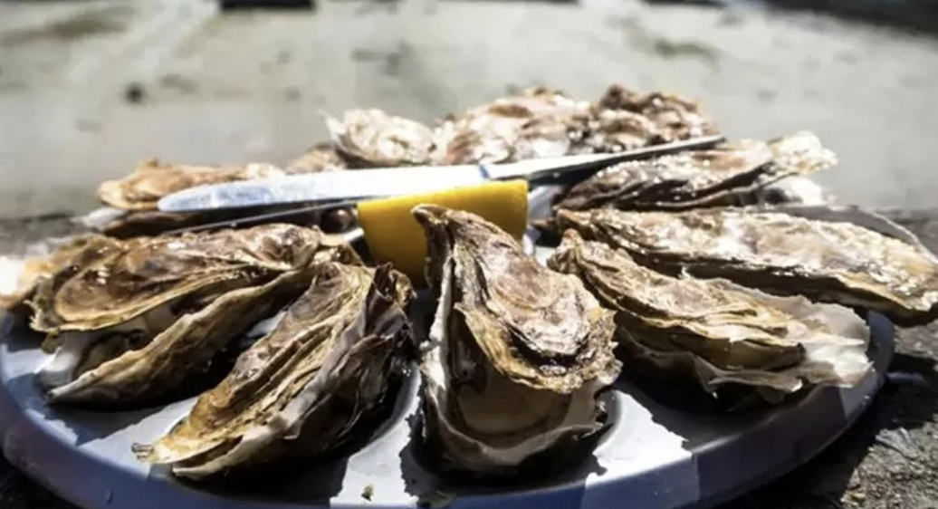 Screen Shot 2024-07-10 at 8.03.14 AM