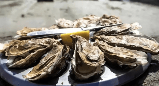 Screen Shot 2024-07-10 at 8.03.14 AM