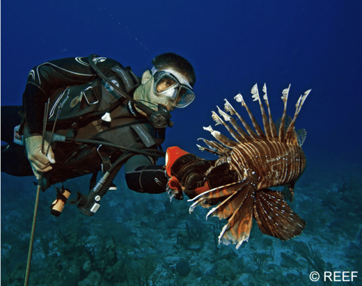 Screen Shot 2024-07-19 at 7.37.05 AM