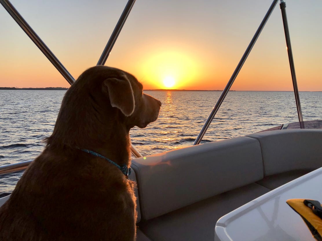 Unknown-May-14-2021-07-06-14-00-PM