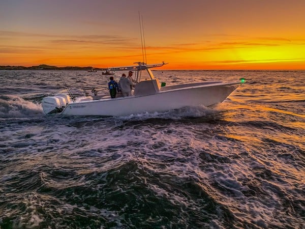 thumbnail_53192245510_25f79c5d14_o