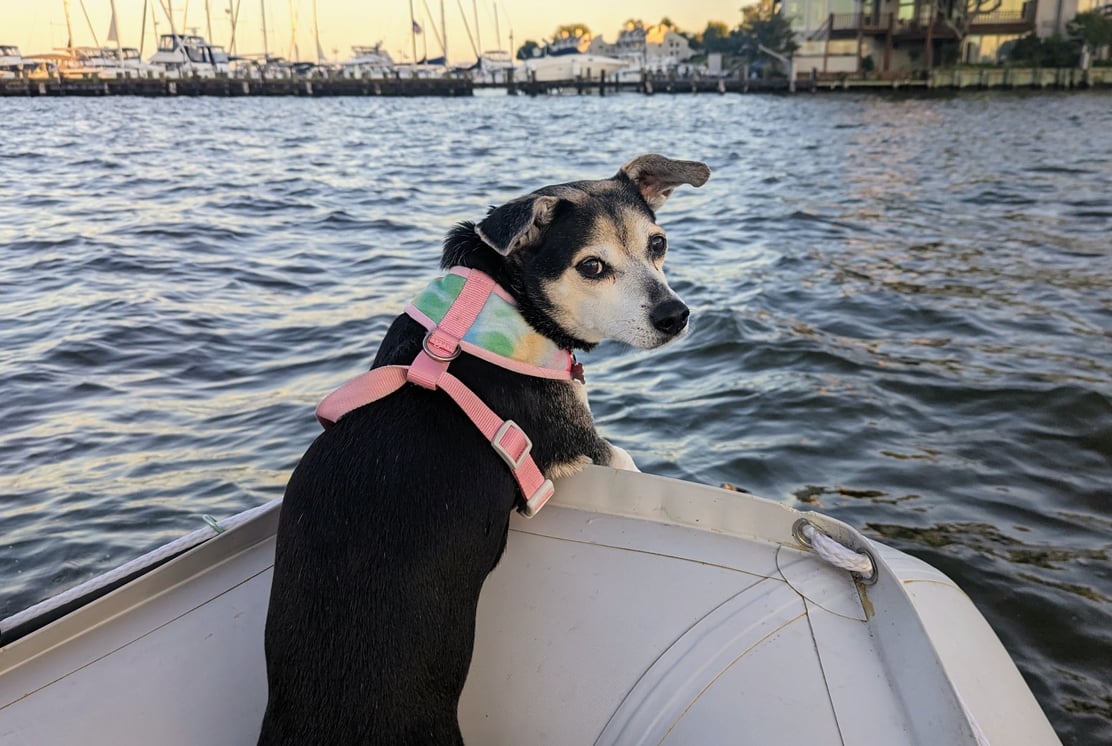 thumbnail_PXL_20230915_225243890