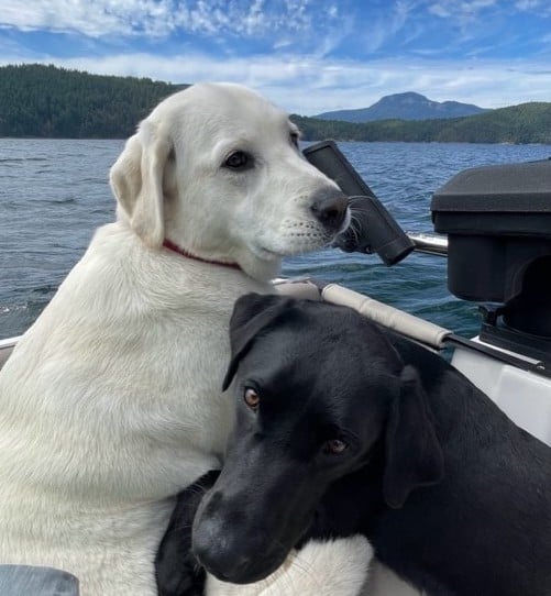 thumbnail_image0-Aug-25-2023-01-46-58-2526-AM