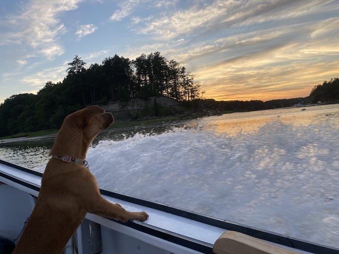 thumbnail_image0-Dec-29-2021-06-45-56-27-PM