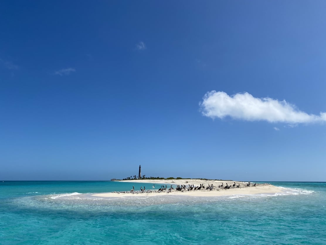 thumbnail_image0-Jul-14-2023-04-18-31-4110-PM