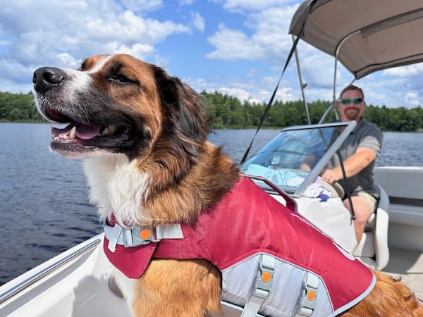 thumbnail_image0-Jul-24-2023-03-14-51-9356-AM