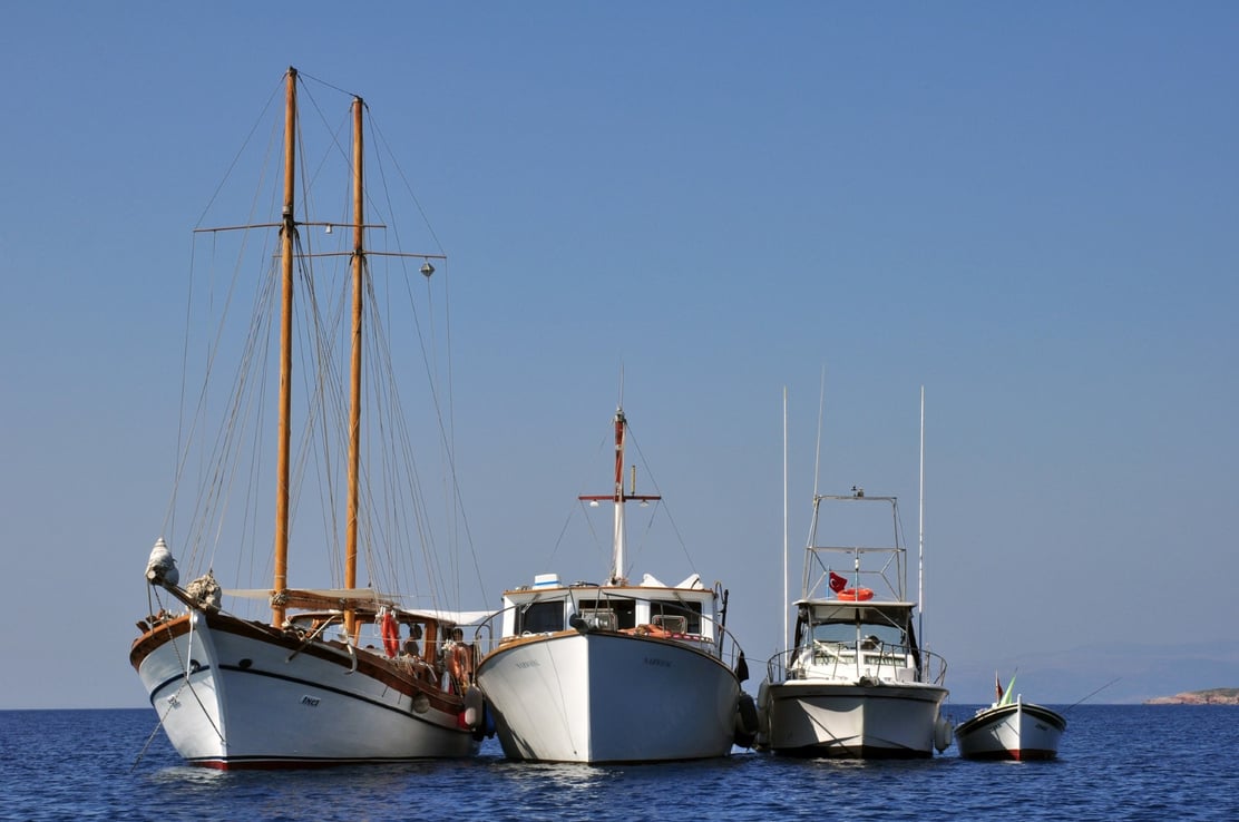 thumbnail_image0-Jul-28-2023-03-07-07-9804-PM