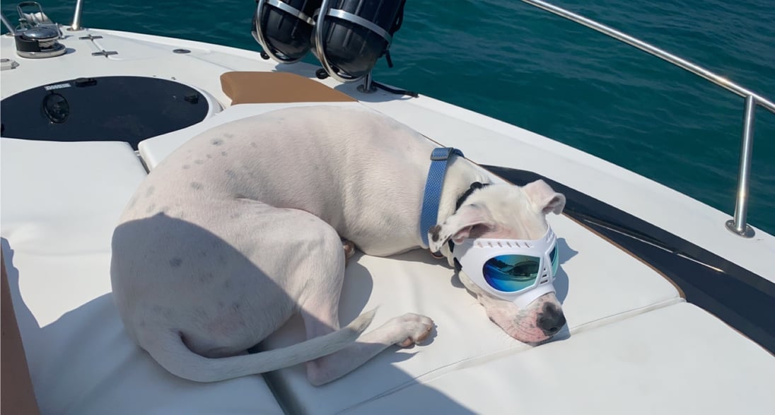 thumbnail_image0-Oct-19-2023-08-46-25-5371-PM