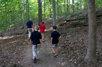 walking in woods