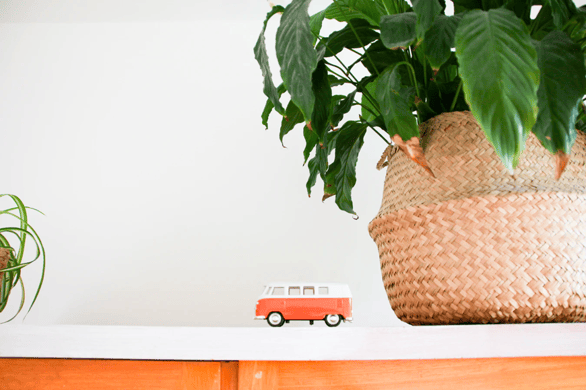 banner-img