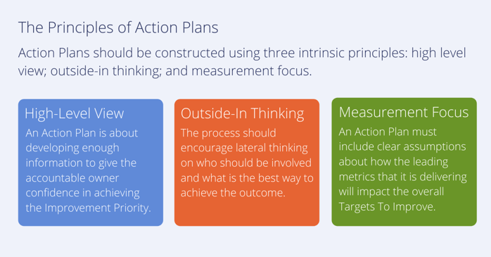 Action Plan Principles