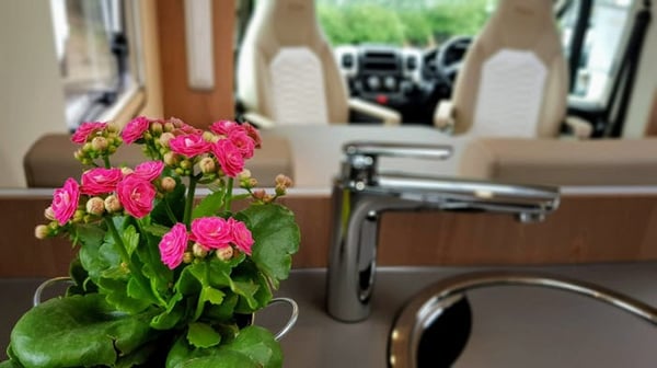 Plants for Your Motorhome