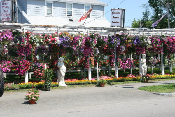 Tips to Transform Your Garden into a Great Outdoor Space