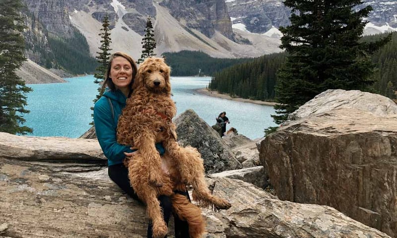 Can I Take My Pet Overseas When I Teach English Abroad?