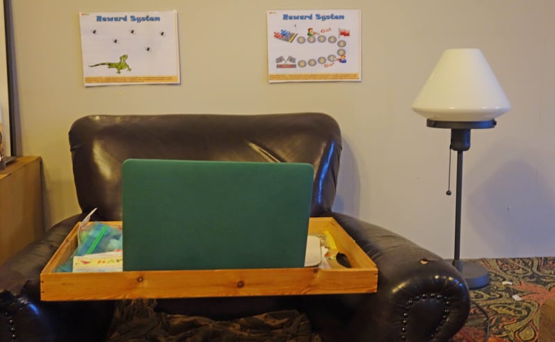 5 Reasons Why Teaching English Online is The Best