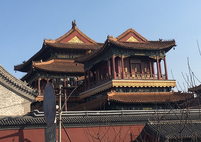 Teaching English in Beijing, China: Alumni Q&A with Shannon Cocci