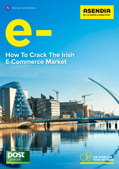EN_Ebook How to crack the irish market cover