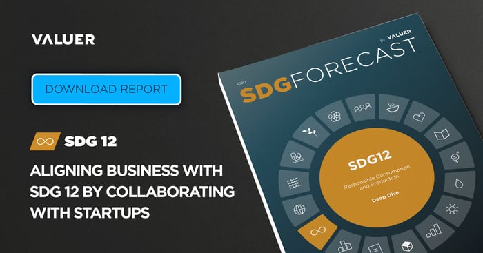 Aligning Business With SDG 12 by Collaborating With Startups