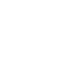 speedometer.png