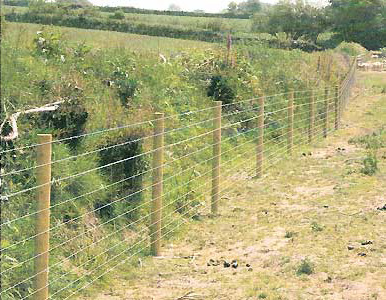 Barbed wire on sale fence law