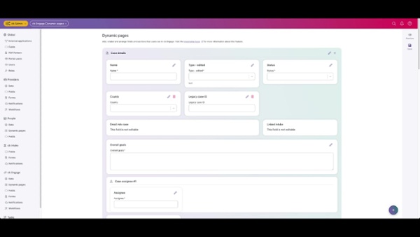 cb Enage Dynamic Enums Reporting