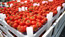 The Impact of FSMA on Pizzerias