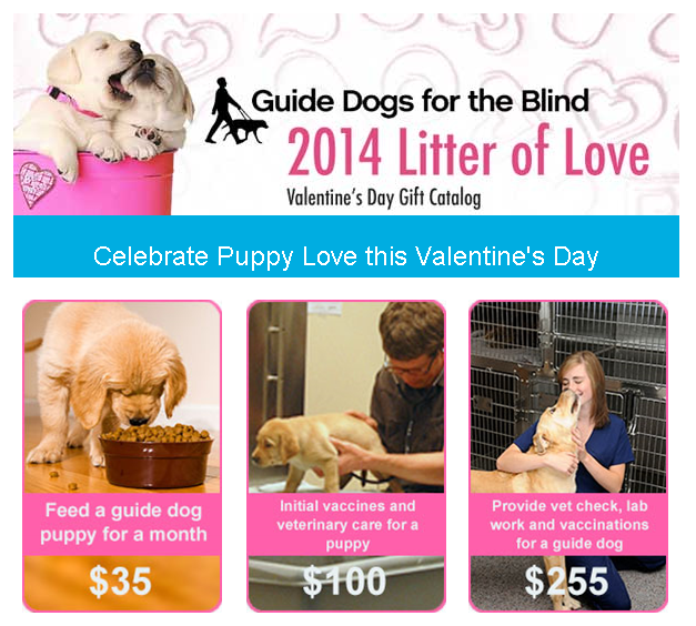 Guide Dogs for the Blind Valentine's Day Catalog