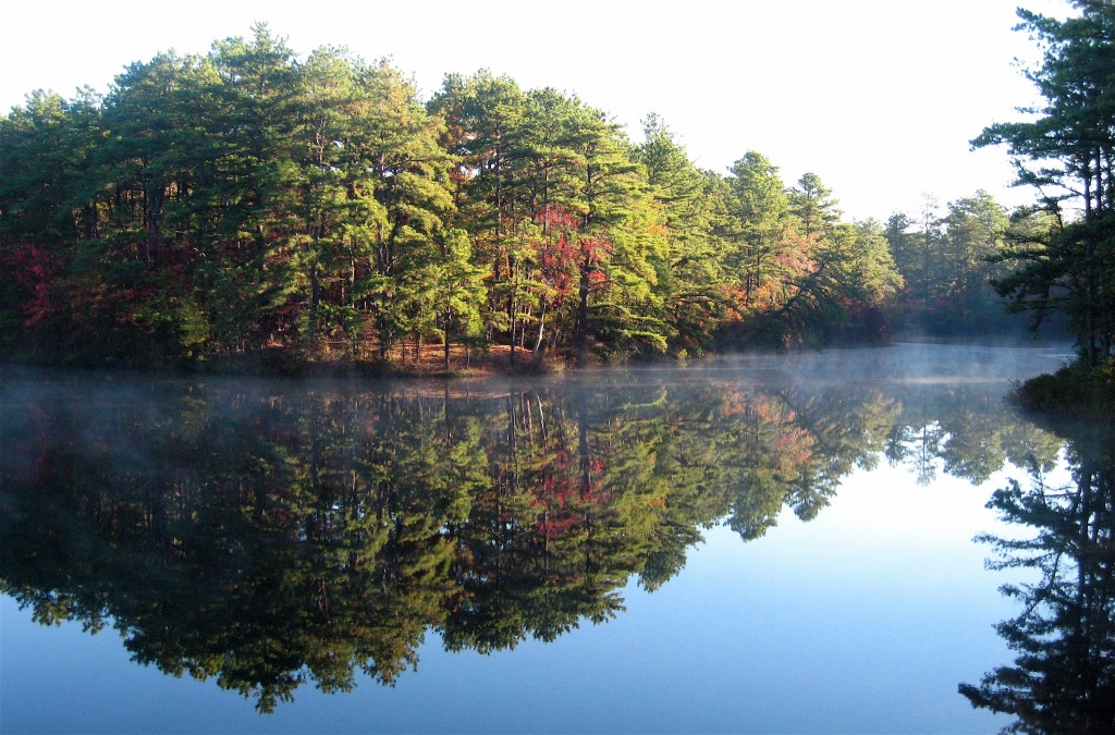 Scanned Photo of NJ Pine Barrens Pond