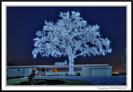 Digital-photo-holiday-lights