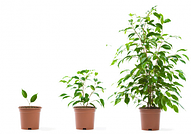 Photo Scanning Customer Growth