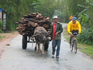 x viet1