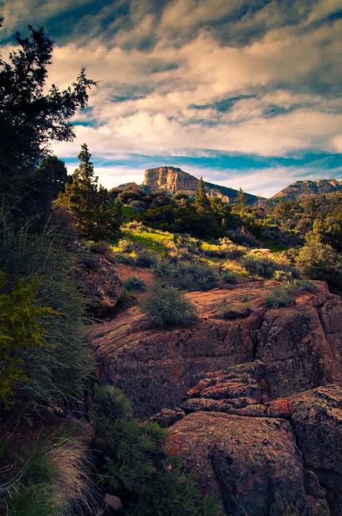 10 Things To Inspire Your Photos