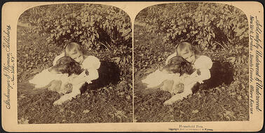 photo scanning service