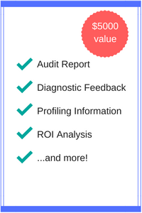 Audit ReportDiagnostic FeedbackProfiling InformationROI Analysis...and more!