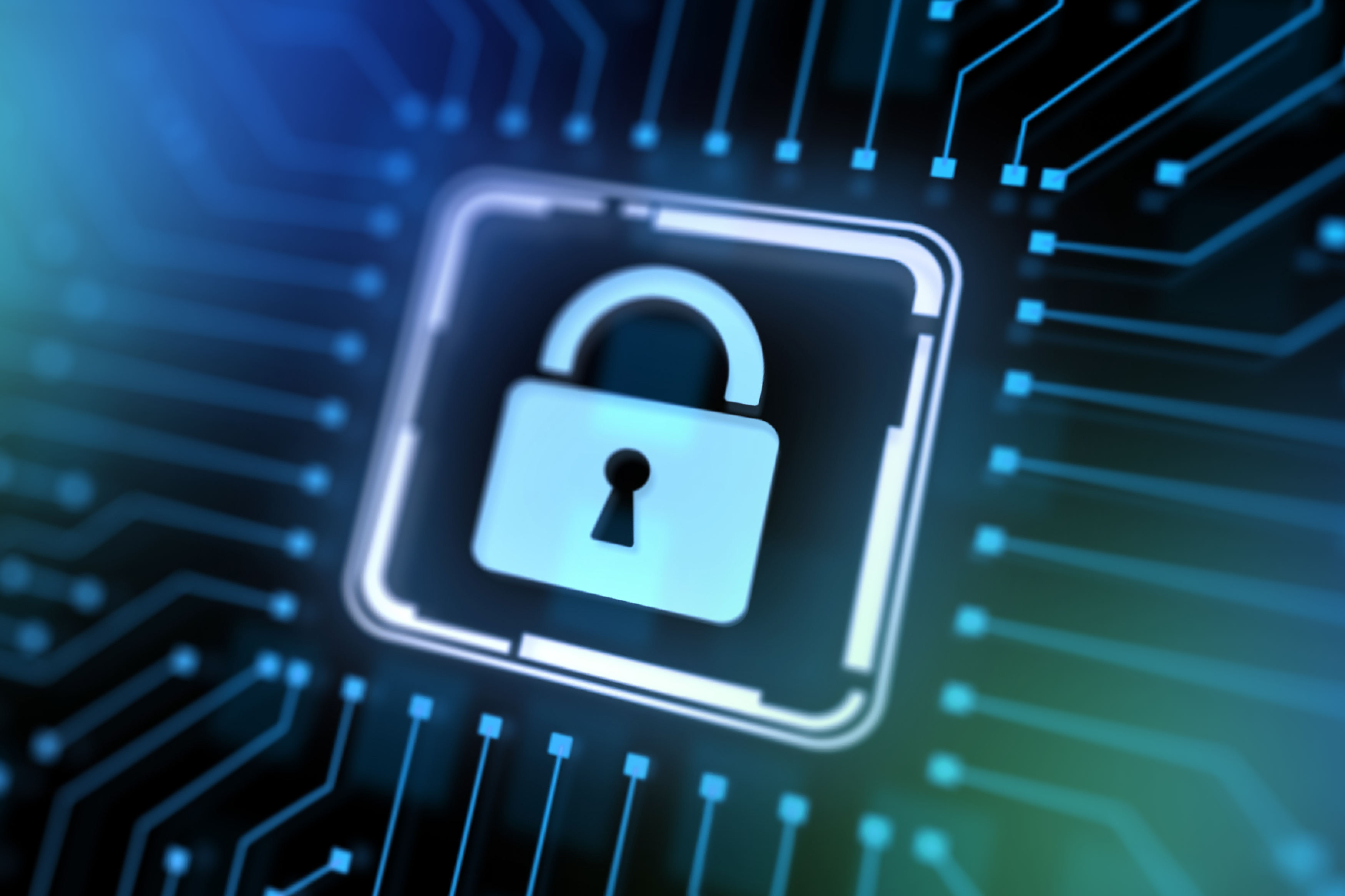 Top 3 fraud risks to look out for