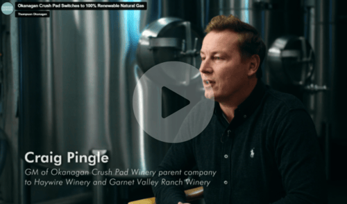 Craig Pingle RNG video