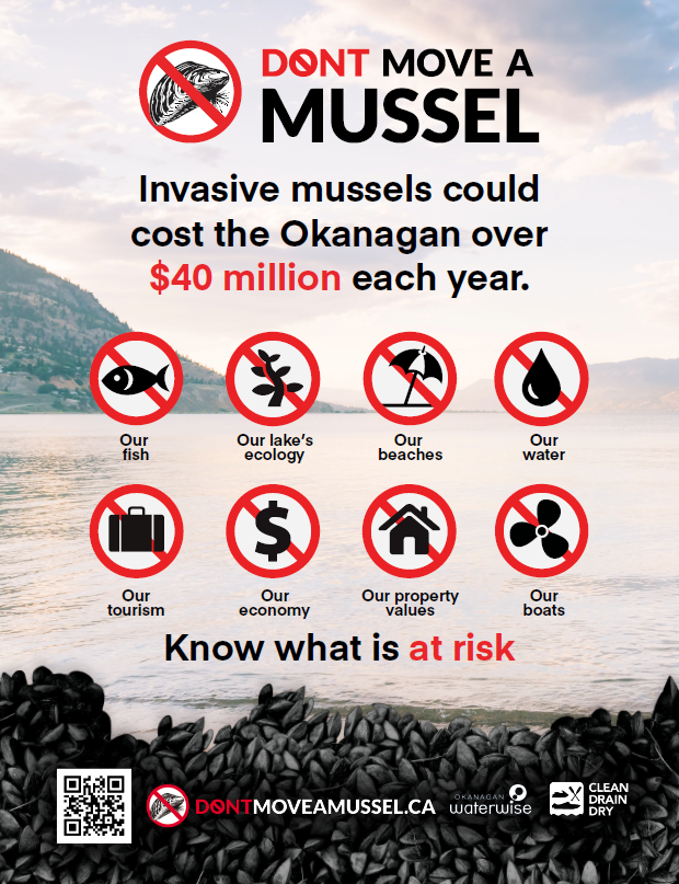 Dont Move a Mussel - Invasive mussels could cost the Okanagan over $40 million each year