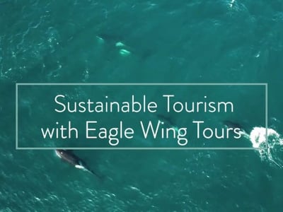 Sustainable Tourism with Eagle Wing Tours