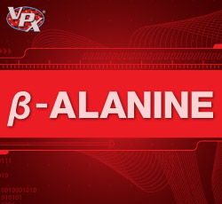 beta alanine3