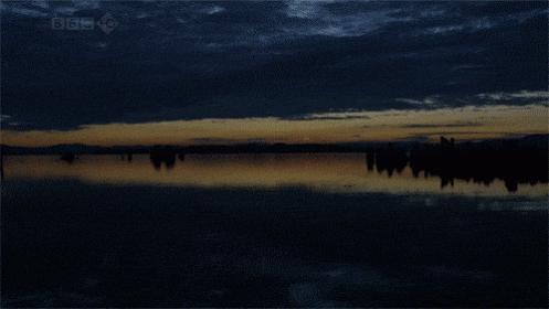 giphy-Jun-29-2023-10-01-25-9873-PM