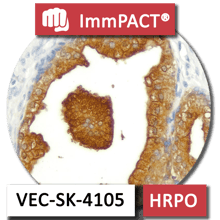 VEC-SK-4105 HRPO