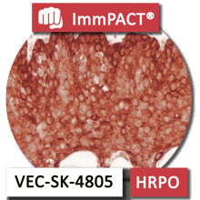 VEC-SK-4805 HRPO