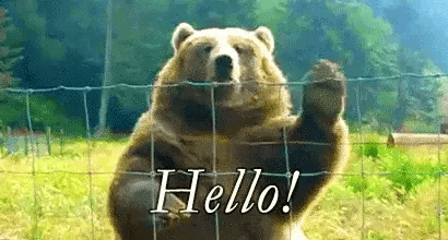 giphy-Aug-20-2024-06-43-26-0451-PM