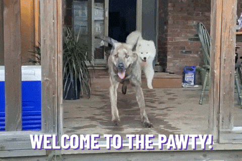 giphy-downsized-large-May-29-2024-02-49-11-6760-PM