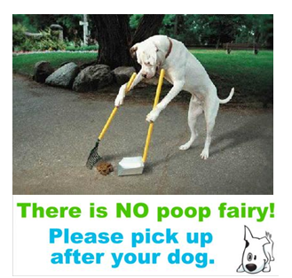 poop-fairy-3fb1272164f30c25