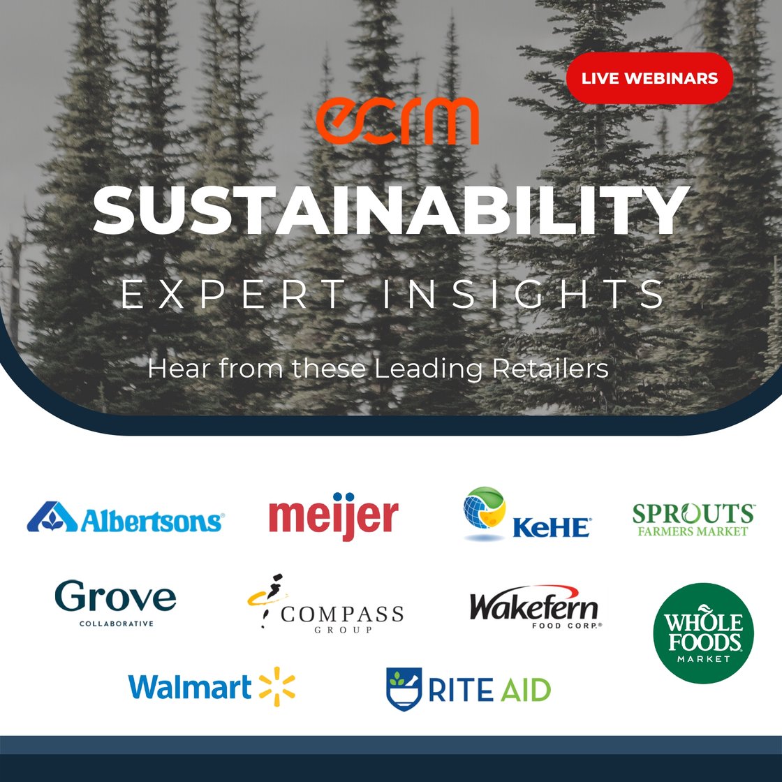 Sustainability Experts Insights