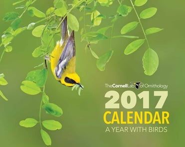 2017-Membership-Calendar_Cover-800px.jpg