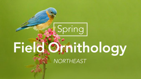 SpringFieldOrnithology-16x9-674x379 PNG.png